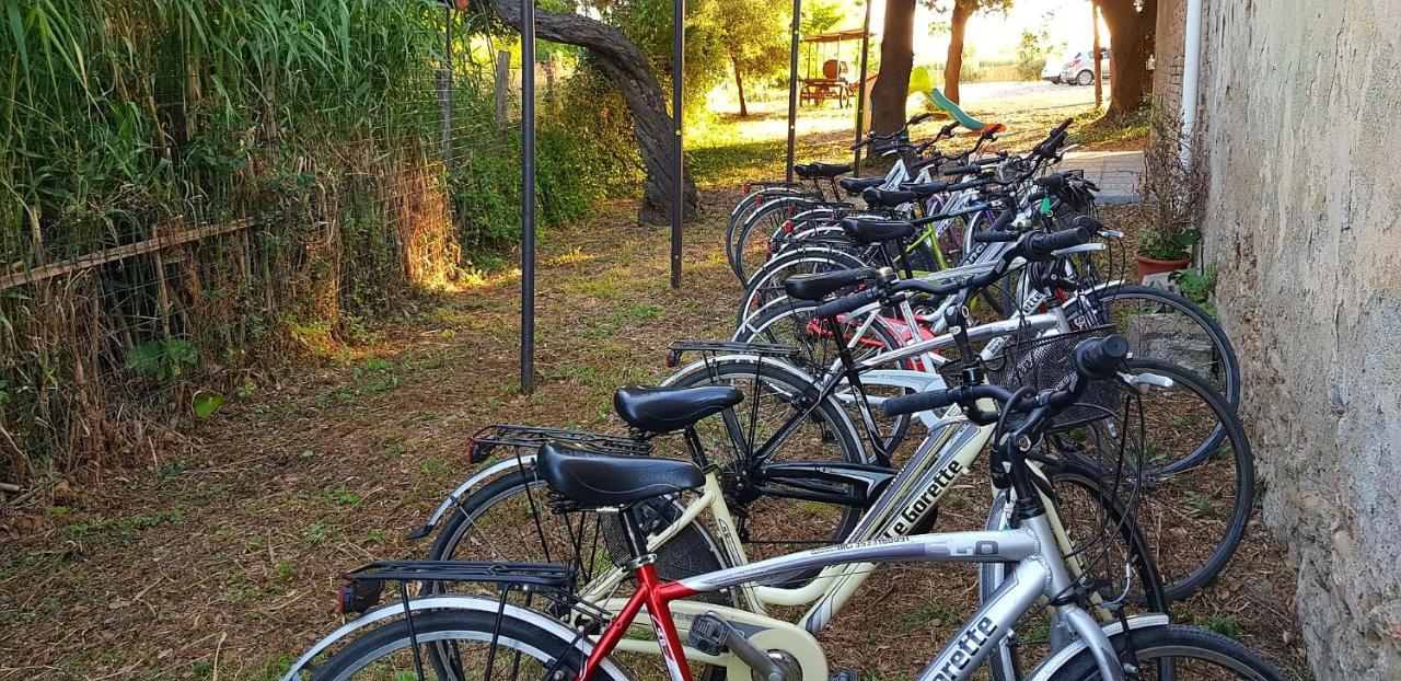 Punta Dei Lecci Βίλα Riparbella Εξωτερικό φωτογραφία