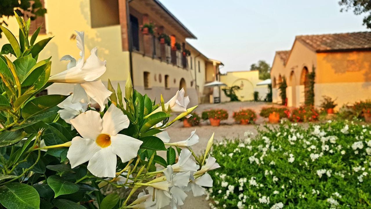 Punta Dei Lecci Βίλα Riparbella Εξωτερικό φωτογραφία