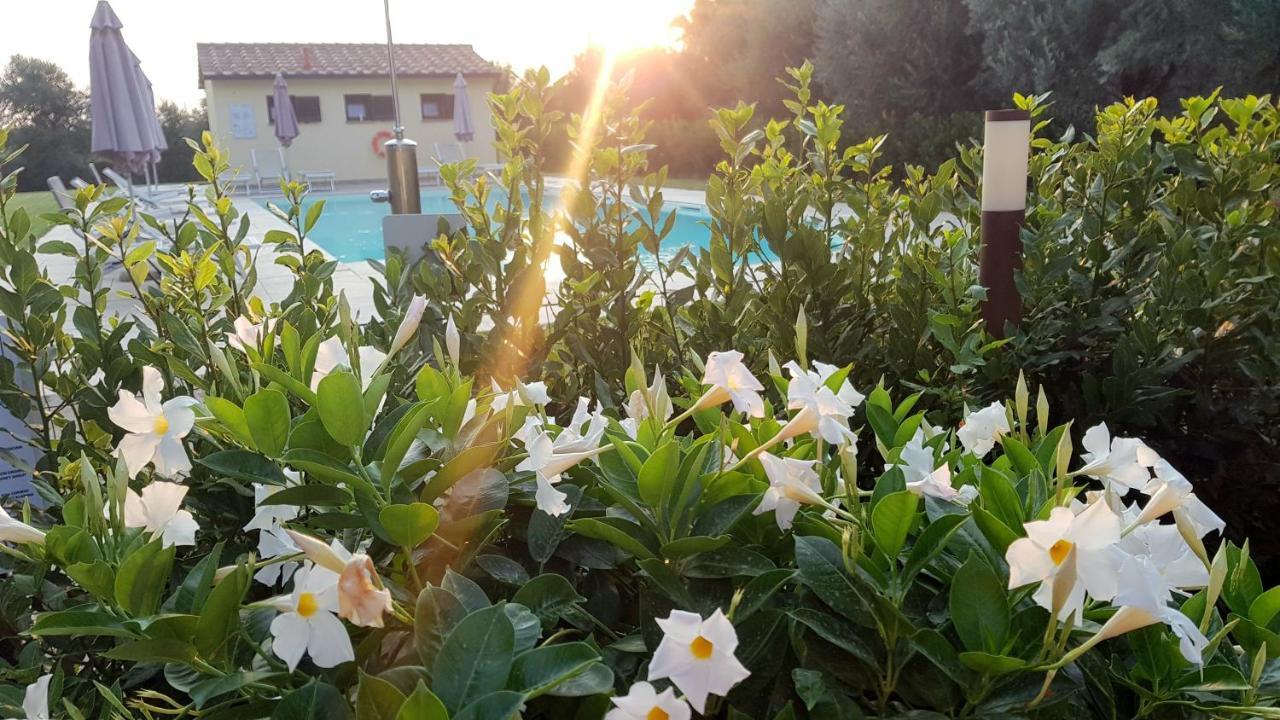 Punta Dei Lecci Βίλα Riparbella Εξωτερικό φωτογραφία